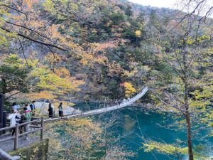 o que fazer em shizuoka